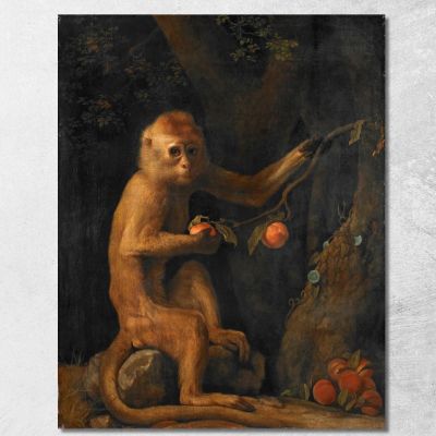 Una Scimmia George Stubbs gst3 quadro stampa su tela