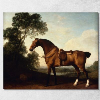 Un Cacciatore Della Baia Sellato George Stubbs gst5 quadro stampa su tela