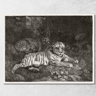 Una Tigre E Un Leopardo Addormentato 1788 George Stubbs gst7 quadro stampa su tela