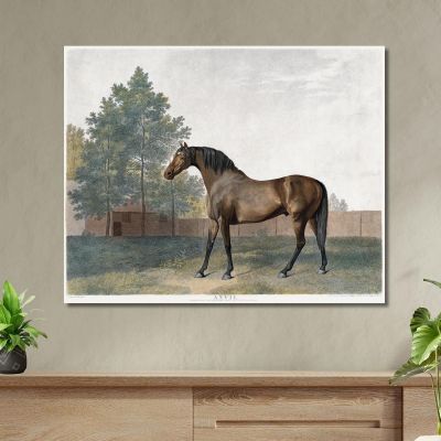 Incudine 1794 George Stubbs gst9 quadro stampa su tela