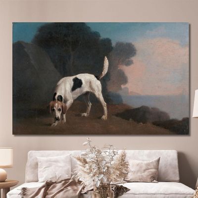 Foxhound On The Scent George Stubbs, gst15 canvas print