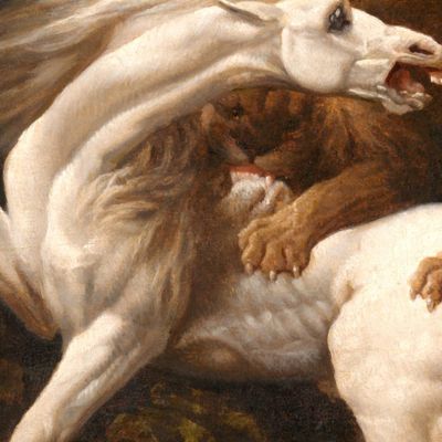 Cavallo Attaccato Da Un Leone George Stubbs gst19 quadro stampa su tela