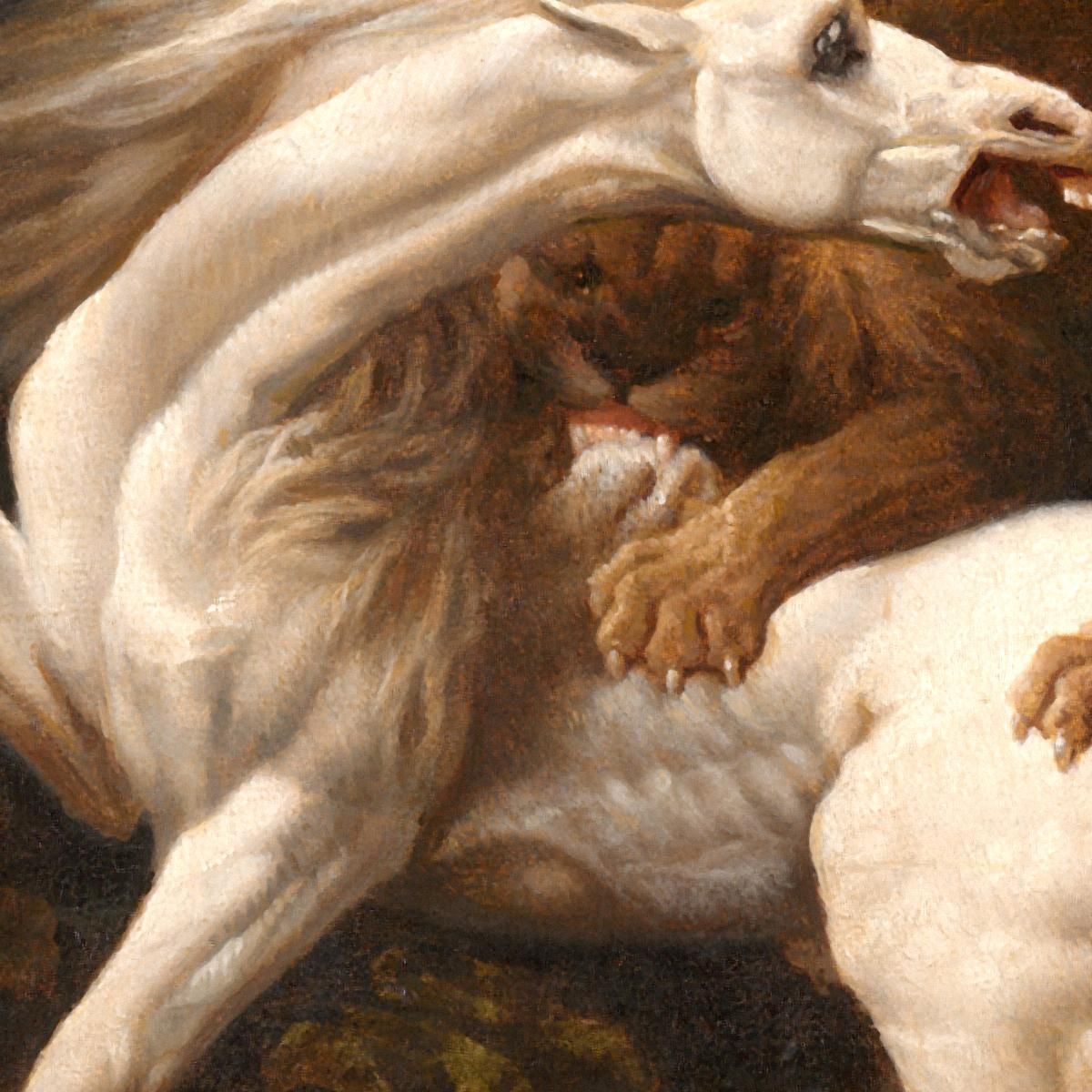Cavallo Attaccato Da Un Leone George Stubbs gst19 quadro stampa su tela