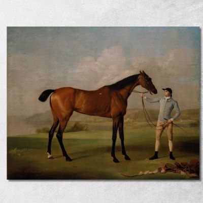 Molly Gambelunghe Con Il Suo Fantino George Stubbs gst29 quadro stampa su tela