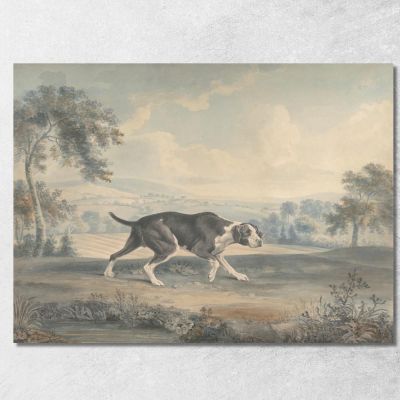 Il Puntatore Spagnolo George Stubbs gst43 quadro stampa su tela