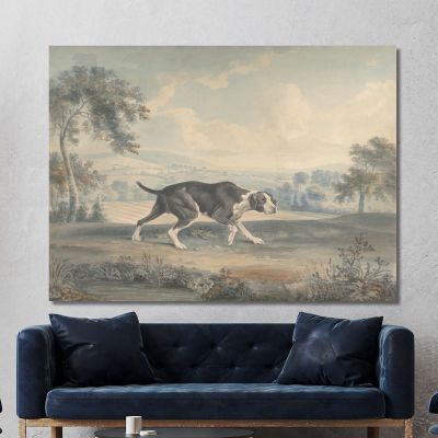 Il Puntatore Spagnolo George Stubbs gst43 quadro stampa su tela