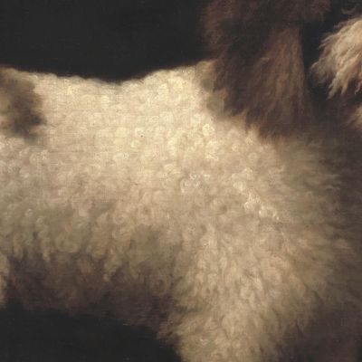 Spaniel D'Acqua George Stubbs gst54 quadro stampa su tela Spaniel D'Acqua George Stubbs gst54 quadro stampa su tela