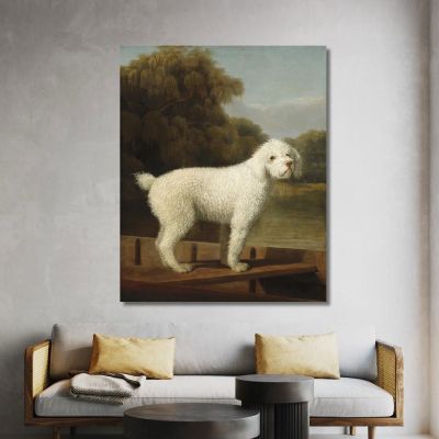 Barboncino Bianco In Un Barchino George Stubbs gst56 quadro stampa su tela