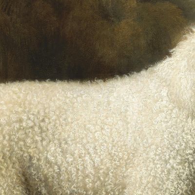 Barboncino Bianco In Un Barchino George Stubbs gst56 quadro stampa su tela