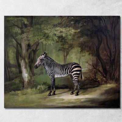 Zebra 1763 George Stubbs gst57 quadro stampa su tela