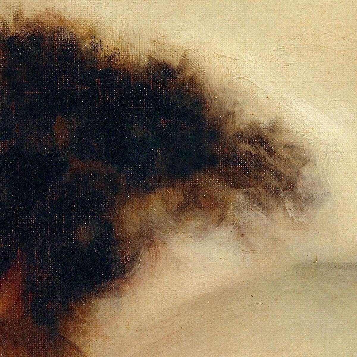 L'Origine Del Mondo Gustave Courbet cg7 quadro stampa su tela