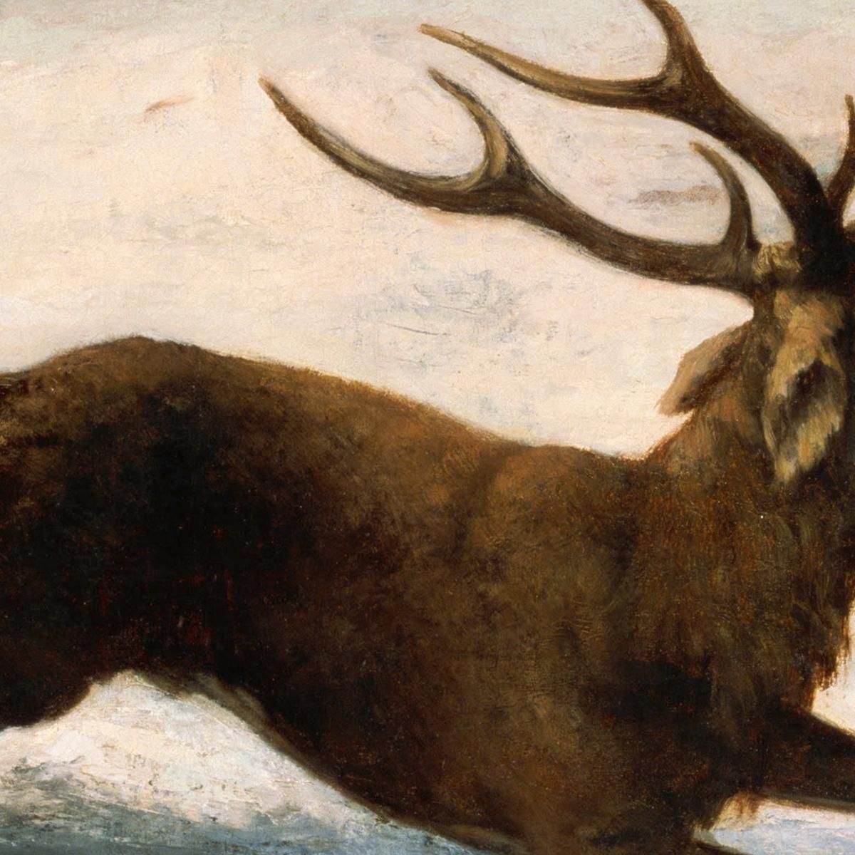 Cervi Che Corrono Nella Neve Gustave Courbet cg60 quadro stampa su tela