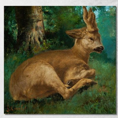 Capriolo Gustave Courbet cg149 quadro stampa su tela