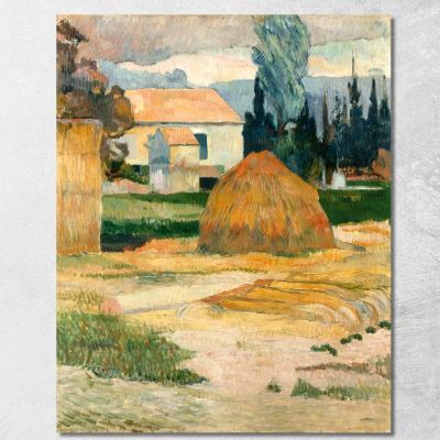 Paesaggio Vicino Ad Arles Paul Gauguin pgg47 quadro stampa su tela