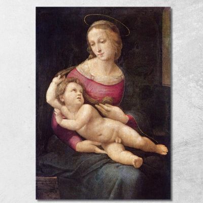Madonna Di Bridgewater Raffaello Sanzio rph3 quadro stampa su tela