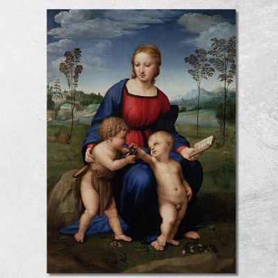 Madonna Del Cardellino Raffaello Sanzio rph14 quadro stampa su tela