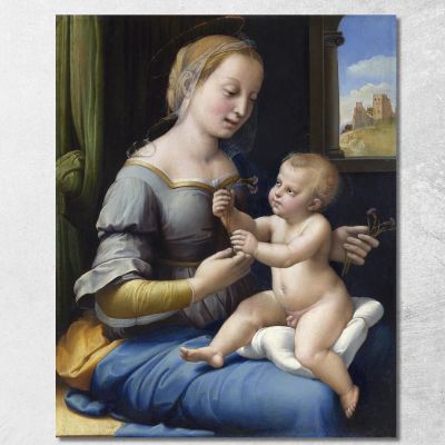 La Madonna Dei Rosa Raffaello Sanzio rph42 quadro stampa su tela