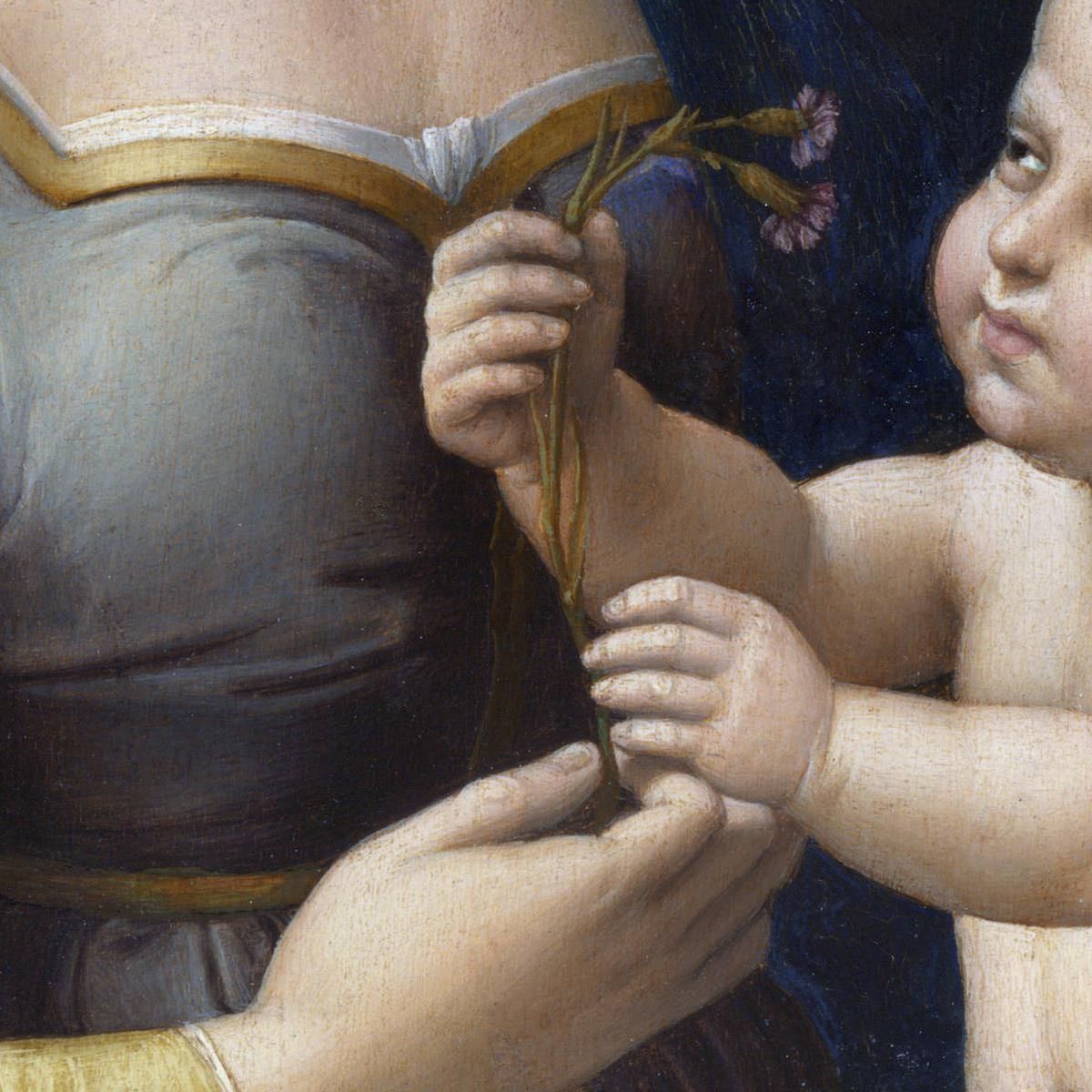 La Madonna Dei Rosa Raffaello Sanzio rph42 quadro stampa su tela