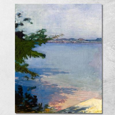 Stagno Di Dublino Abbott Handerson Thayer aht6 quadro stampa su tela