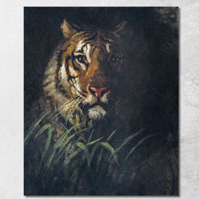 Testa Di Tigre Abbott Handerson Thayer aht24 quadro stampa su tela