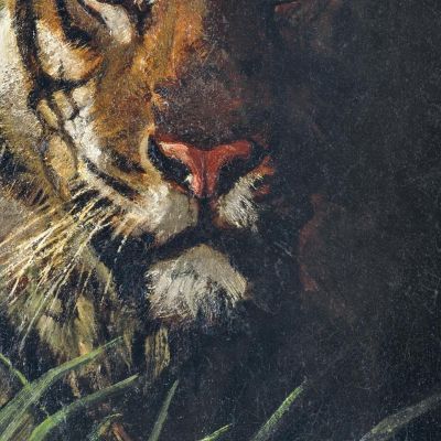 Testa Di Tigre Abbott Handerson Thayer aht24 quadro stampa su tela