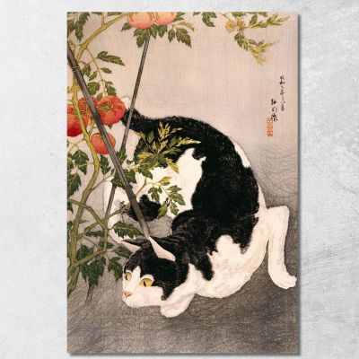 Gatto Nero E Pianta Di Pomodoro Hiroaki Takahashi htk2 quadro stampa su tela