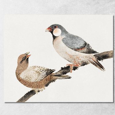 Uccelli Dall'Album Degli Schizzi katsushika hokusai khk7 quadro stampa su tela