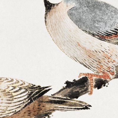 Uccelli Dall'Album Degli Schizzi katsushika hokusai khk7 quadro stampa su tela