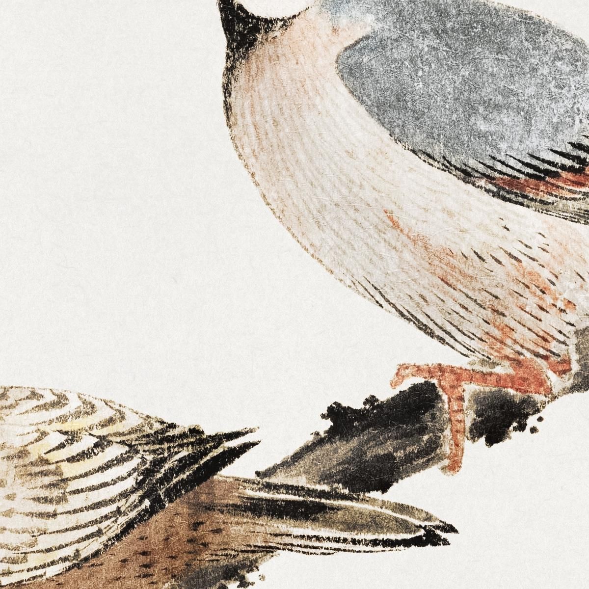 Uccelli Dall'Album Degli Schizzi katsushika hokusai khk7 quadro stampa su tela