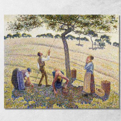 Raccolta Delle Mele 1888 Originale Dal Dal Camille Pissarro cps9 quadro stampa su tela