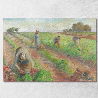 La Raccolta Delle Barbabietole 1881 Camille Pissarro cps70 quadro stampa su tela