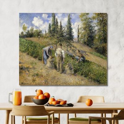 La Vendemmia Pontoise 1881 Camille Pissarro cps82 quadro stampa su tela