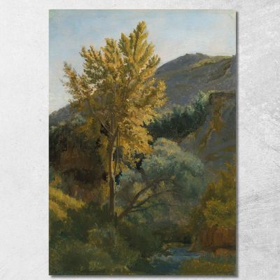 Studio Di Un Albero Vicino A Un Torrente In Italia Jean-Baptiste-Camille Corot jbc54 quadro stampa su tela
