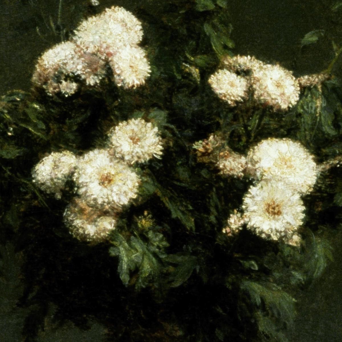 Vaso Di Crisantemi Henri Fantin-Latour hft128 quadro stampa su tela