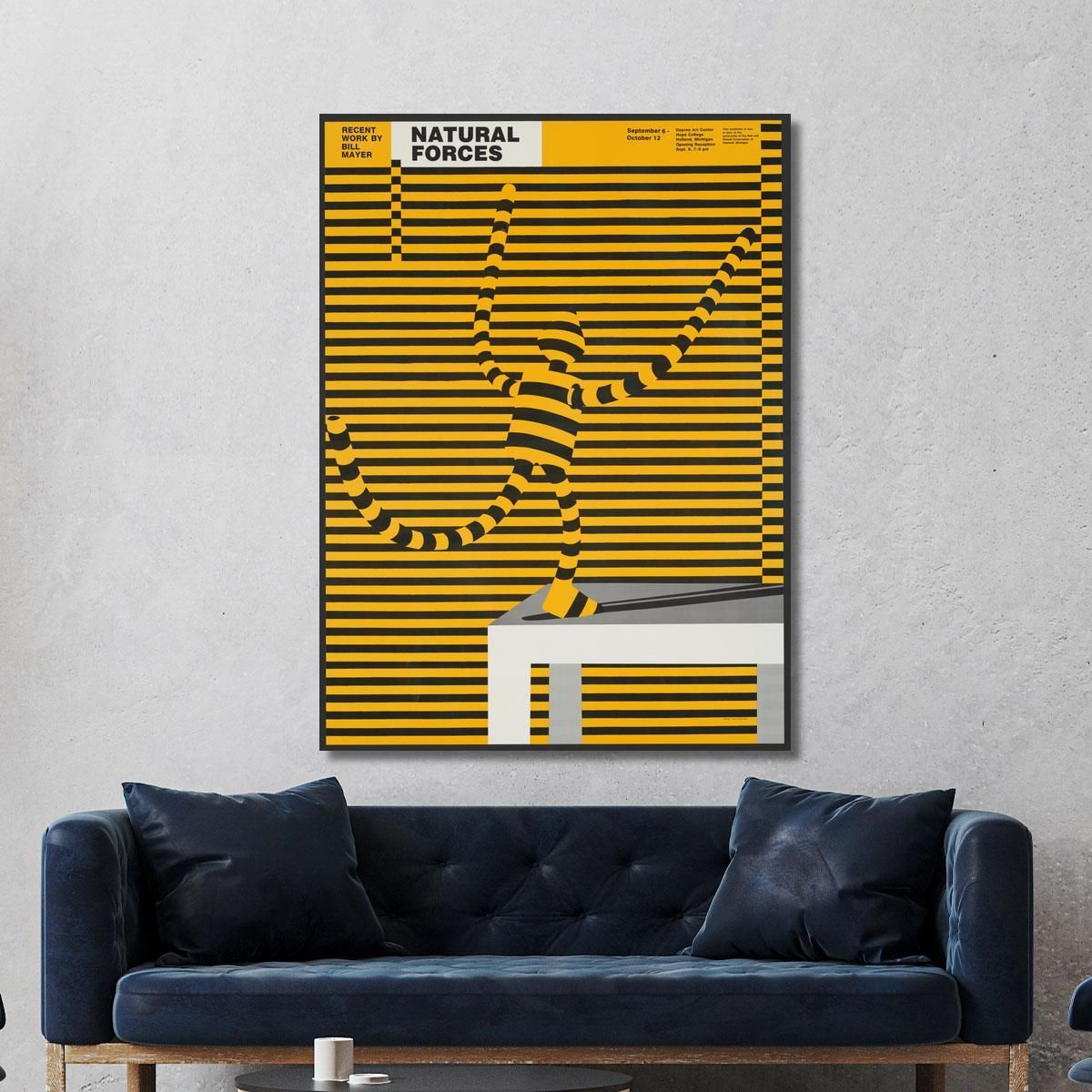 Forze Nazionali Lanny Sommese lsm16 quadro stampa su tela