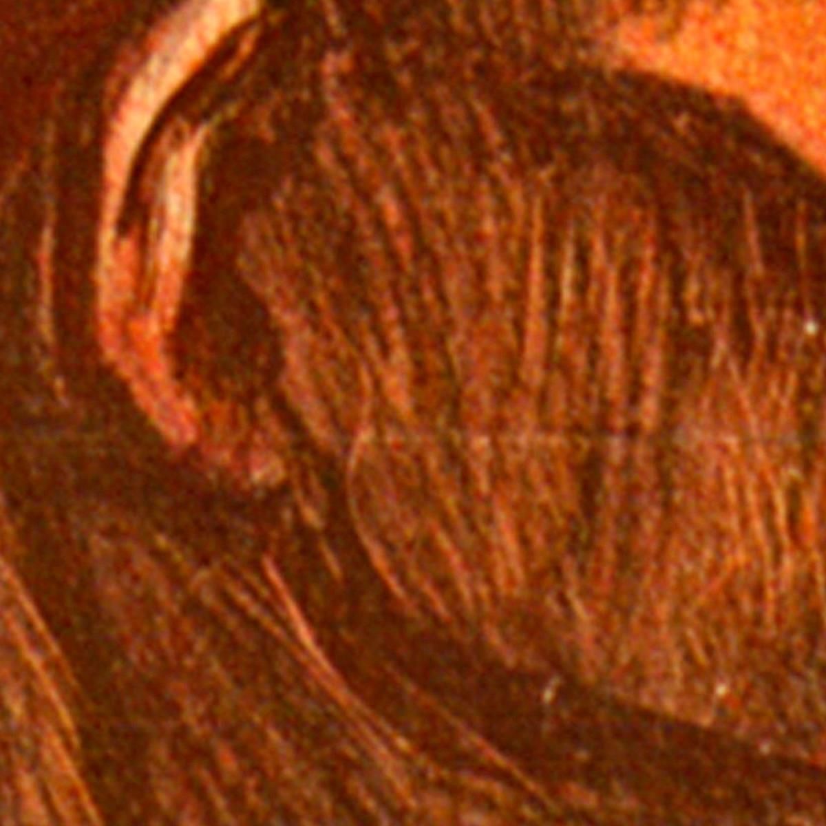 Diario Di Difesa Sociale Le Petit Sou Théophile Alexandre Steinlen tas31 quadro stampa su tela