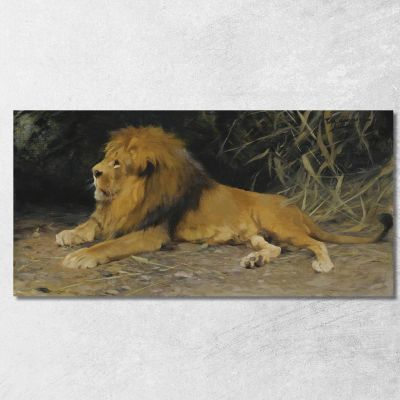 Leone Nella Sua Tana Wilhelm Kuhnert wkh23 quadro stampa su tela