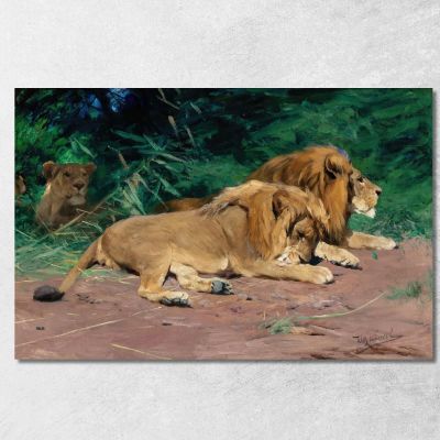 Leoni A Riposo Leoni A Riposo Wilhelm Kuhnert wkh36 quadro stampa su tela