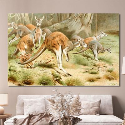 Le Kangourou Roux Wilhelm Kuhnert, wkh43 tableau impression sur toile