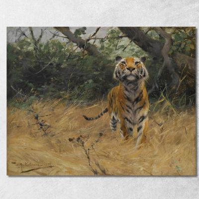 Tigre Di Guardia Wilhelm Kuhnert wkh45 quadro stampa su tela