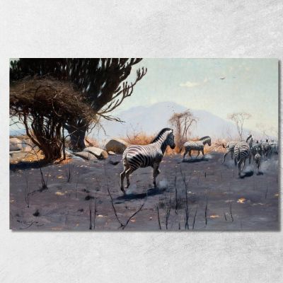 Zebre Wilhelm Kuhnert wkh48 quadro stampa su tela