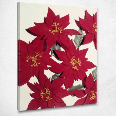 Poinsetta 5 1981 Andy Warhol quadro stampa su tela 100x90cm AW242