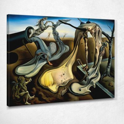 Ragno Di Sera Dali Salvador SD65 quadro stampa su tela