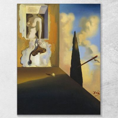Masochistic Instrument Dali Salvador canvas print