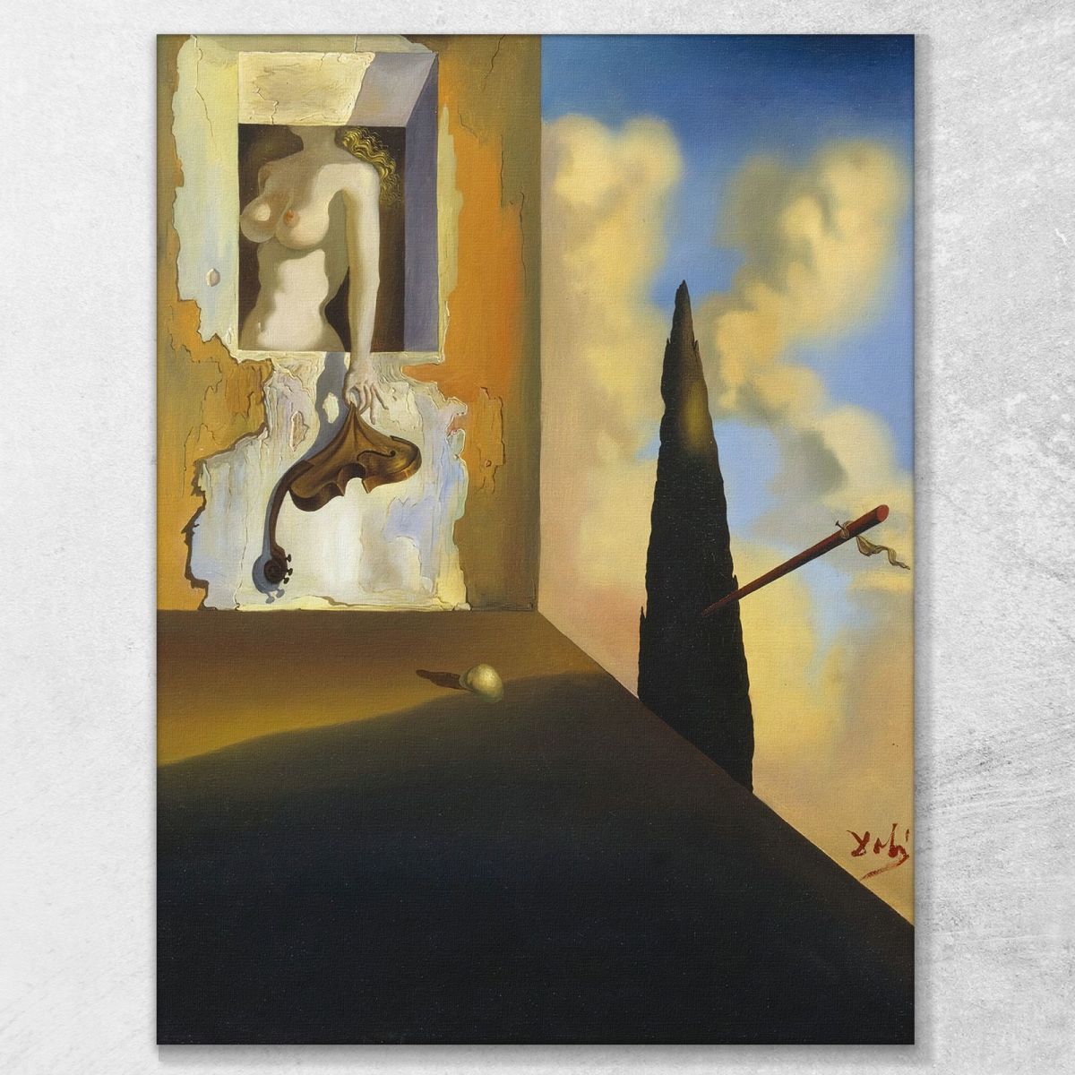 Instrument Masochiste Dali Salvador tableau impression sur toile