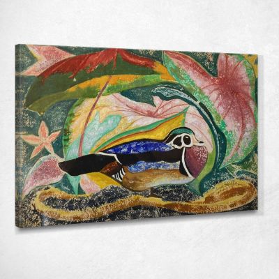 Ninfea E Marmotta Joseph Stella JST9 quadro stampa su tela