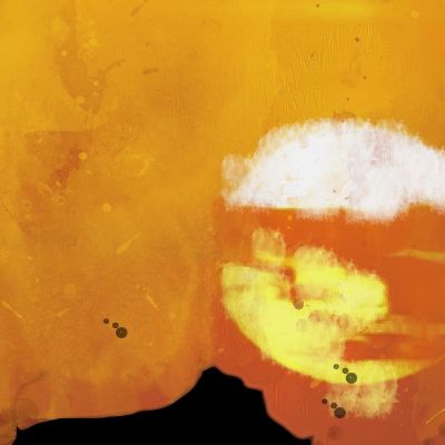 Quadro Tramonto Africano Con Animali afr27 quadro stampa su tela