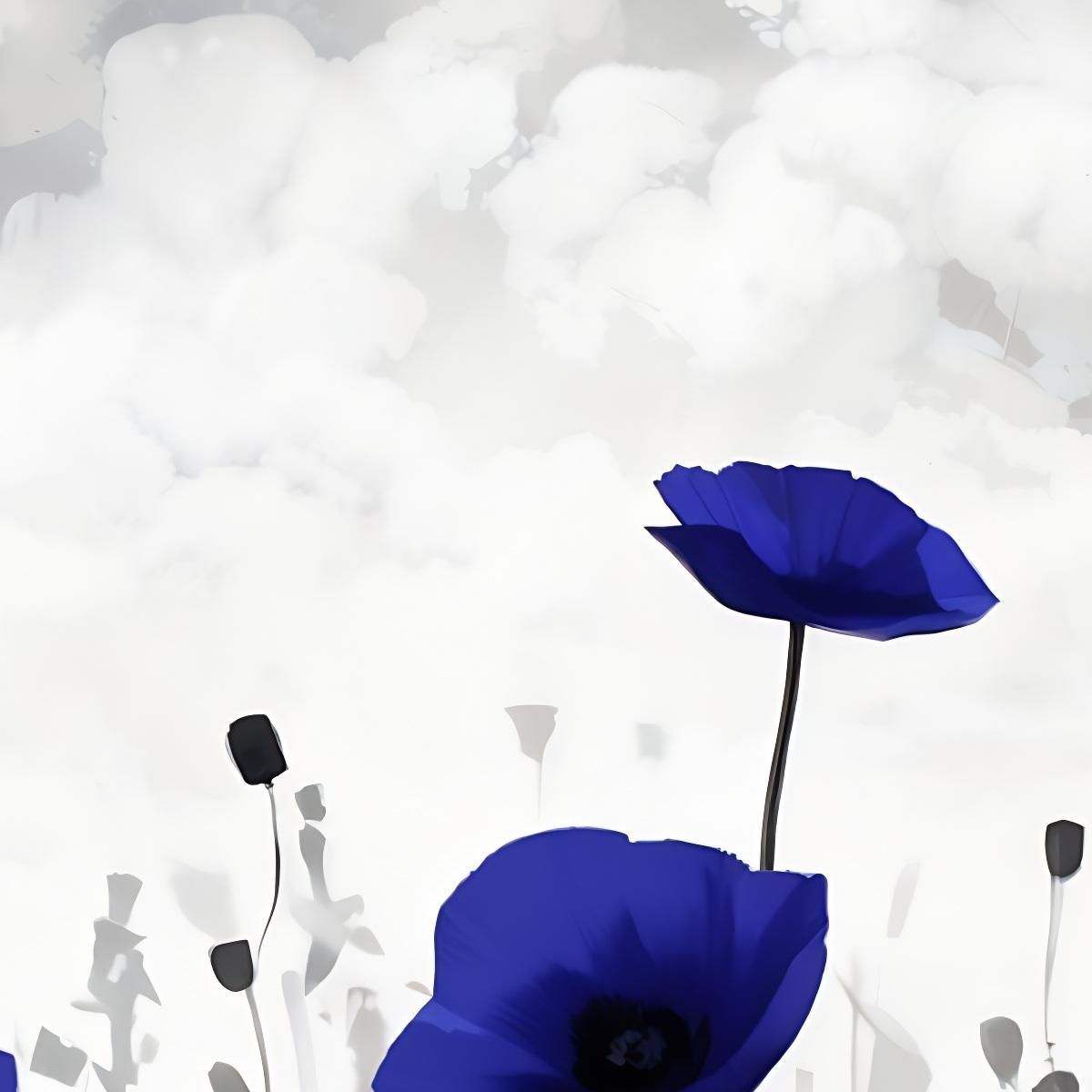 Quadro Papaveri Blu Su Campo Bianco E Nero Quadro Moderno Fiori Astratti flp16 quadro stampa su tela