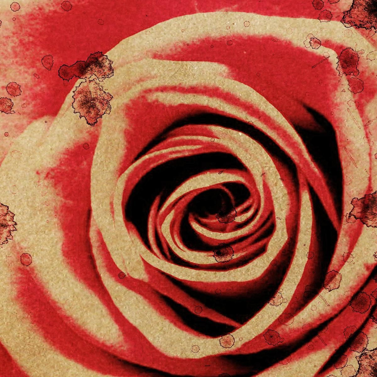 Quadro Rosa Rossa Vintage Quadro Moderno Fiori Astratti flp38 quadro stampa su tela