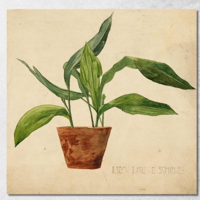 Pianta In Vaso (Lavoro Scolastico) Egon Schiele esh194 quadro stampa su tela